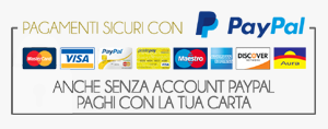 PayPal payment